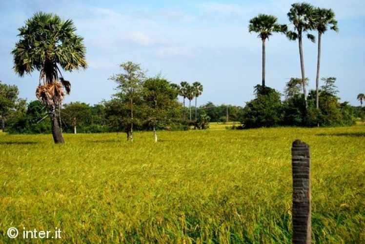 insIEME AI BIMBI DI INTER CAMPUS CAMBOGIA