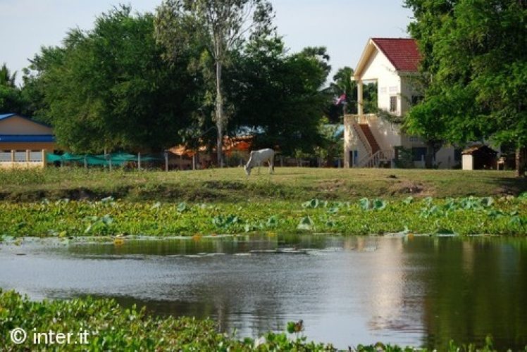 insIEME AI BIMBI DI INTER CAMPUS CAMBOGIA
