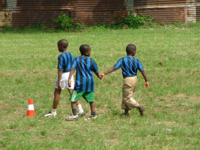 Piccoli amici sul campo