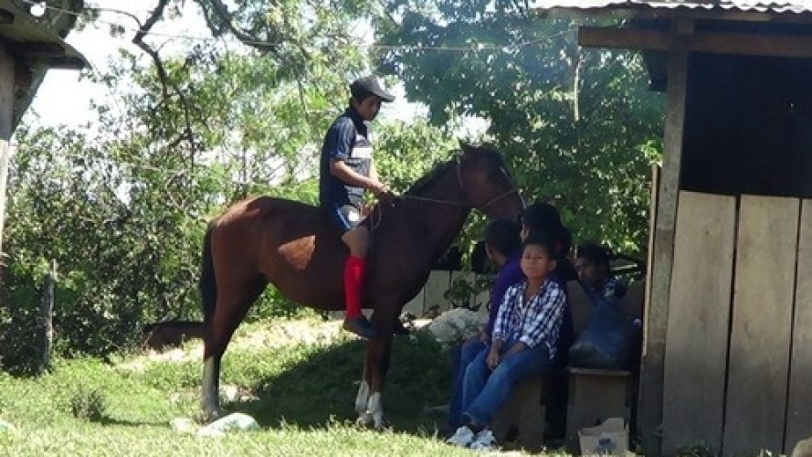 Chiapas 214811-500