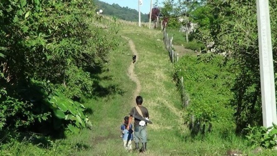 Chiapas 214815-500