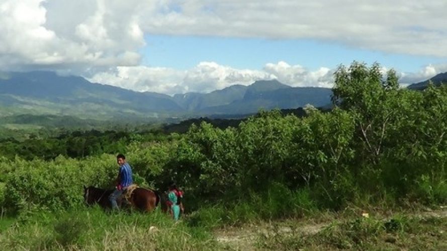 Chiapas 214816-500