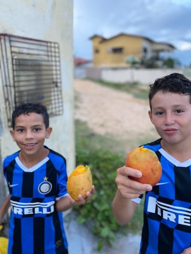 Inter Campus Brazil (2)