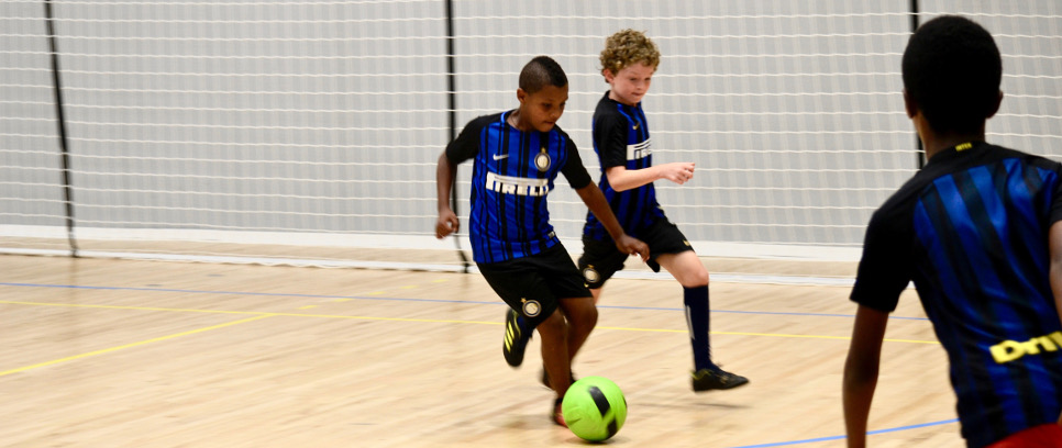 [Una giornata particolare]