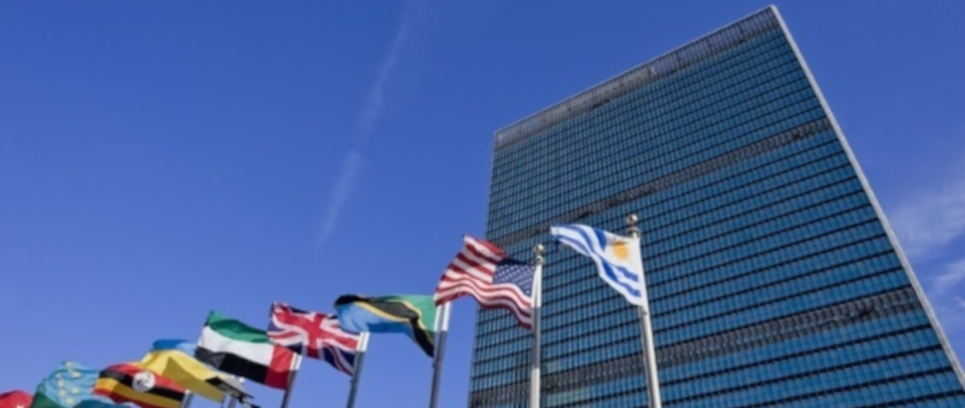 [INTER CAMPUS AND THE UN: COMMON OBJECTIVES]